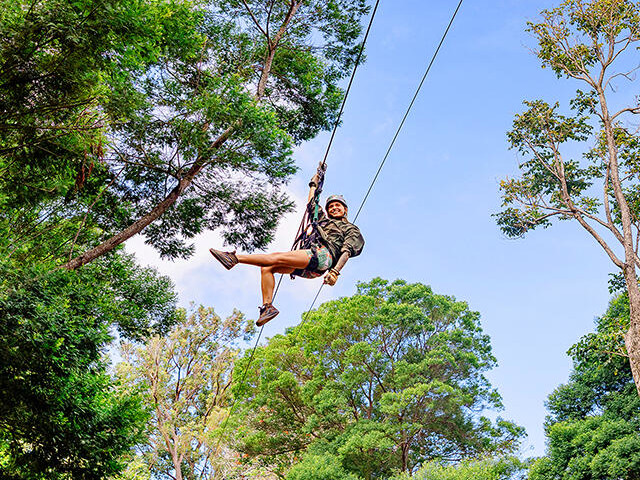 North Shore Zipline Tour Oahu